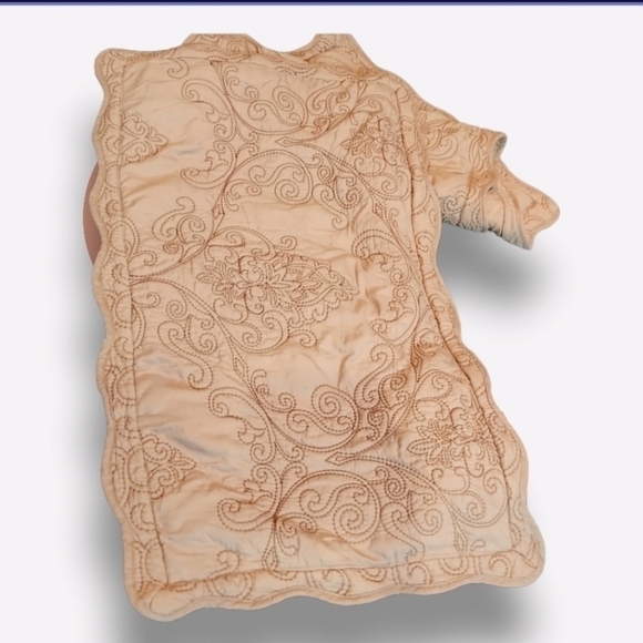 Gold/tan Colored Embroidered Pillow Shams - Picture 1 of 7